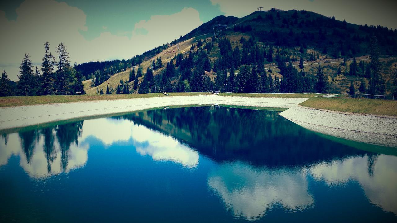 Fruehstueckpension Larson バート・ホーフガシュタイン エクステリア 写真